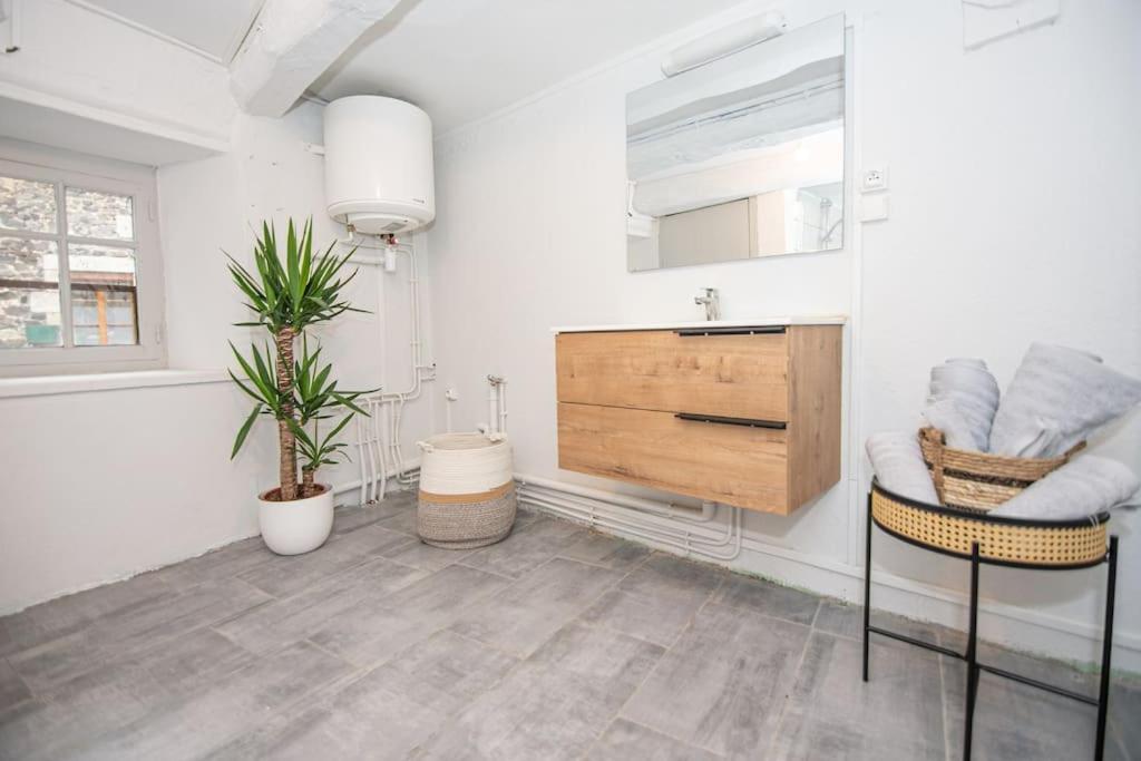 Magnifique Studio Au Coeur De Saint Paulien Apartment Ngoại thất bức ảnh